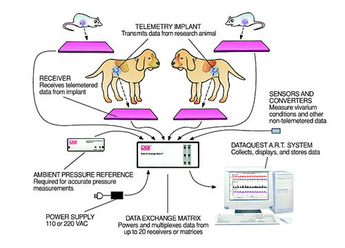 DSIȫֲ��ʽ�޴�ң��ϵͳ
