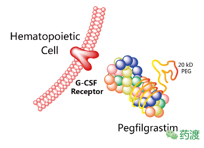 ����÷��MGM(�й���)��������