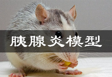 ������ģ��