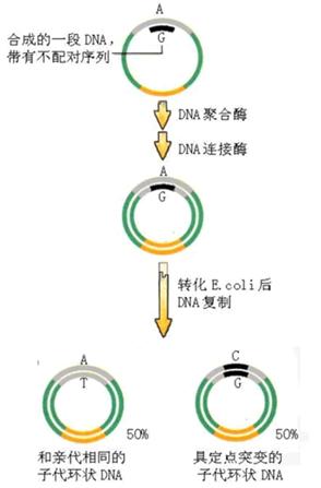 ����÷��MGM(�й���)��������