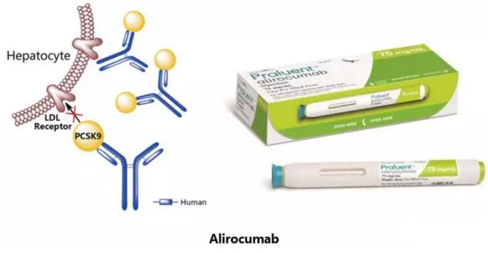 ����÷��MGM(�й���)��������