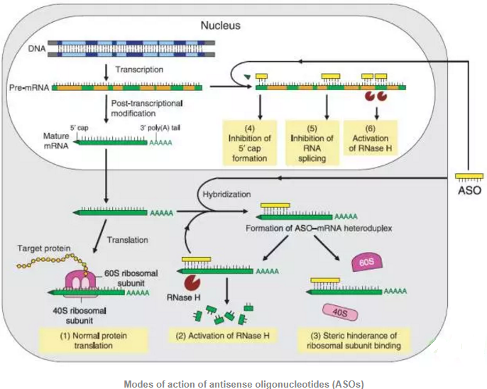 ����÷��MGM(�й���)��������