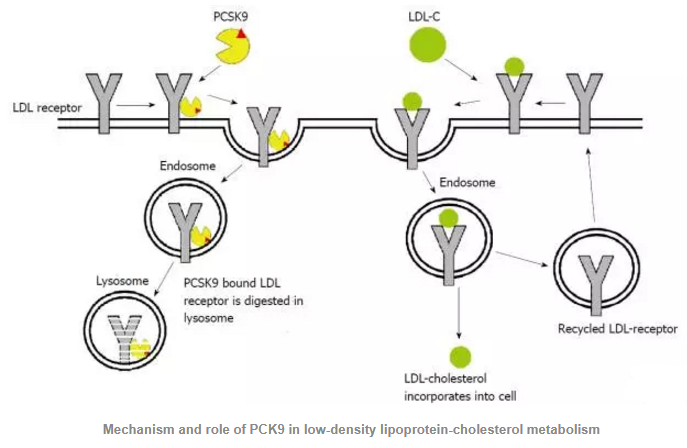 ����÷��MGM(�й���)��������