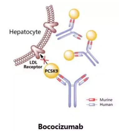 ����÷��MGM(�й���)��������