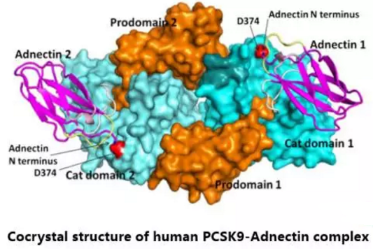 ����÷��MGM(�й���)��������