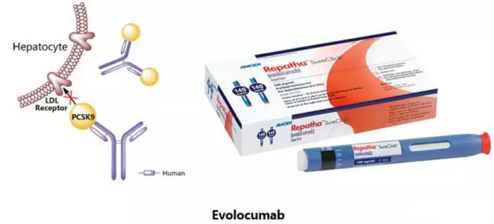 ����÷��MGM(�й���)��������