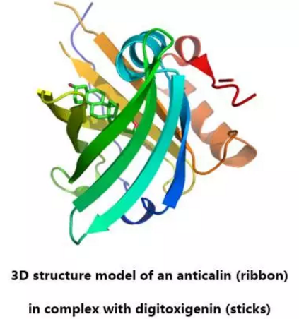 ����÷��MGM(�й���)��������