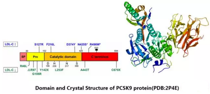 ����÷��MGM(�й���)��������