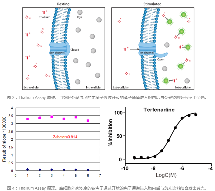 ����÷��MGM(�й���)��������