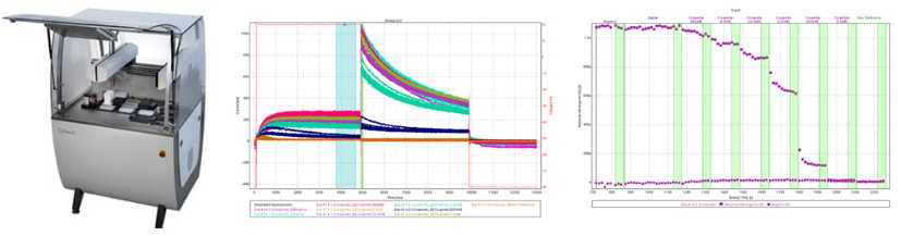 ����÷��MGM(�й���)��������