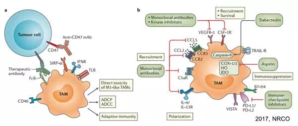 ÃÀ¸ß÷¡¤MGM(ÖйúÓÎ)¹ÙÍøÕýÍø