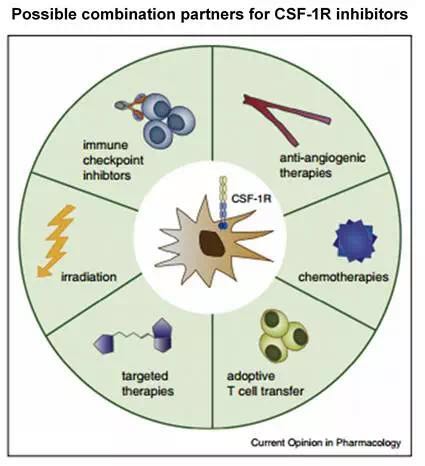 ÃÀ¸ß÷¡¤MGM(ÖйúÓÎ)¹ÙÍøÕýÍø