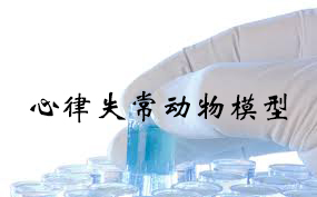 ÐÄÂÊʧ³£¶¯ÎïÄ£×Ó ÐÄÂÊʧ³£¶¯ÎïÄ£×Ó