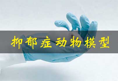 ����֢����ģ��