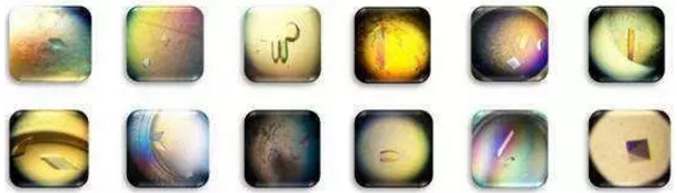 ����÷��MGM(�й���)��������