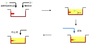 ����÷��MGM(�й���)��������