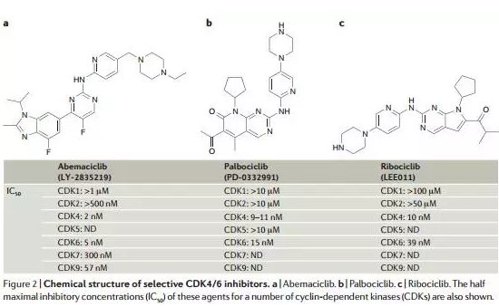 ����÷��MGM(�й���)��������