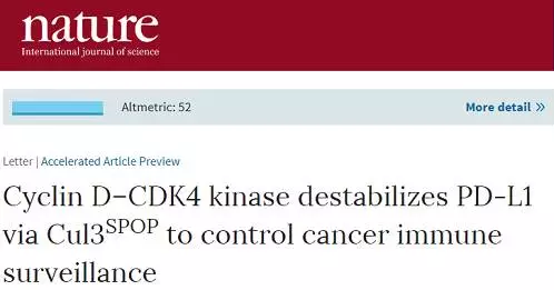 ����÷��MGM(�й���)��������