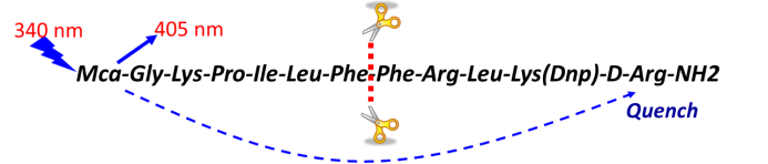 ����÷��MGM(�й���)��������