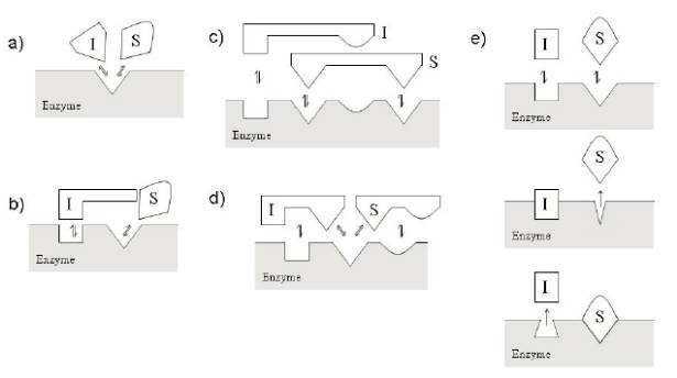 ����÷��MGM(�й���)��������