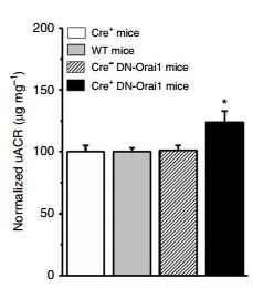 ����÷��MGM(�й���)��������