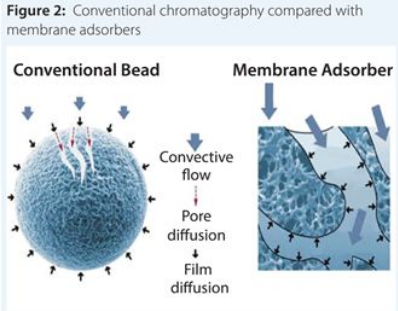 ����÷��MGM(�й���)��������