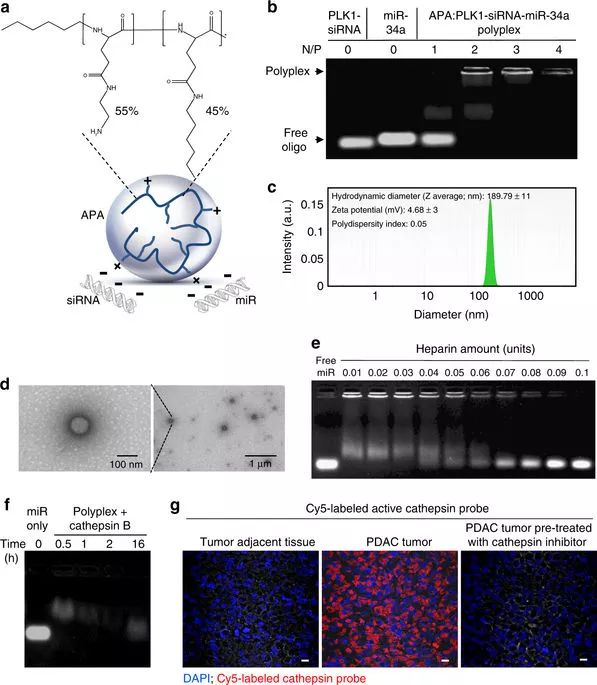 ����÷��MGM(�й���)��������