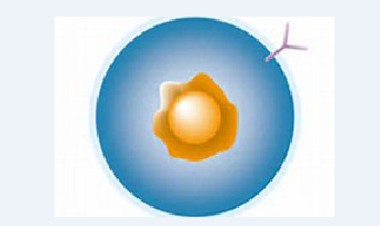 ��������CRISPR�����������鼴����չ