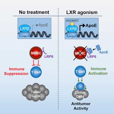 ����÷��MGM(�й���)��������