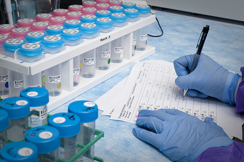 ǳ̸������ҩ��IND����֮ҩѧ�о�