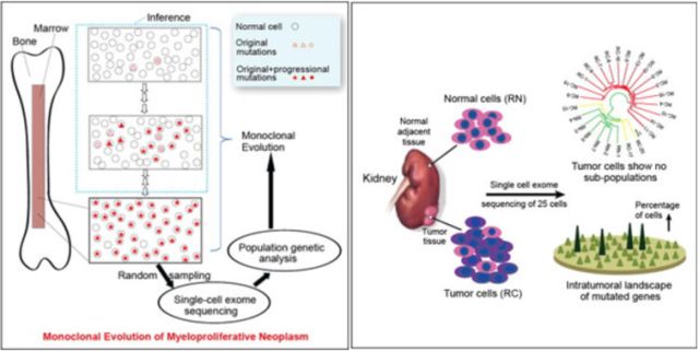 ����÷��MGM(�й���)��������