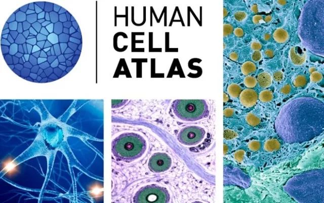 ����÷��MGM(�й���)��������