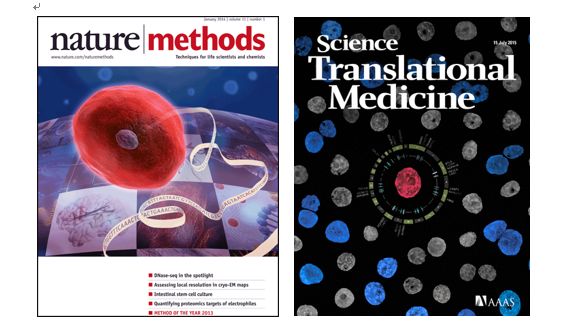 ��ϸ���������Ҫ�Լ�Ӧ��ƫ��