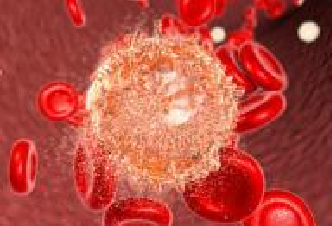 ����÷��MGM(�й���)��������