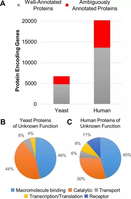 ����÷��MGM(�й���)��������