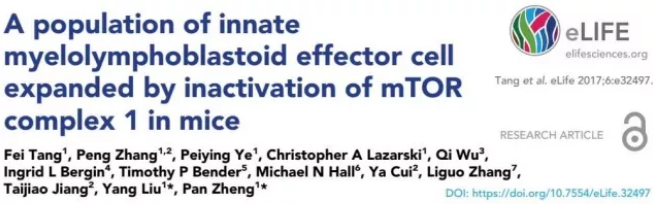 ����÷��MGM(�й���)��������