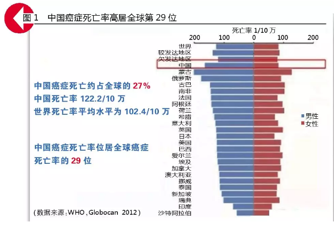 ����÷��MGM(�й���)��������