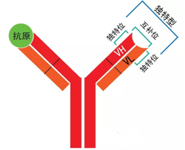 ÃÀ¸ß÷¡¤MGM(ÖйúÓÎ)¹ÙÍøÕýÍø