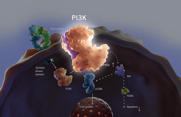 ÃÀ¸ß÷¡¤MGM(ÖйúÓÎ)¹ÙÍøÕýÍø