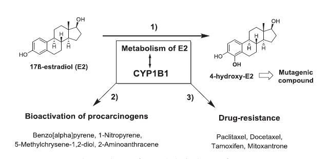 ����÷��MGM(�й���)��������