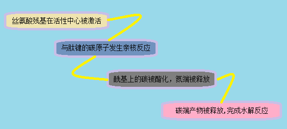 ÃÀ¸ß÷¡¤MGM(ÖйúÓÎ)¹ÙÍøÕýÍø