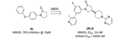 ÃÀ¸ß÷¡¤MGM(ÖйúÓÎ)¹ÙÍøÕýÍø