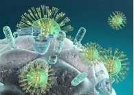 ���̻������ư��̲���ҩ��---������������CCR5���Ƽ����о�ϣ��