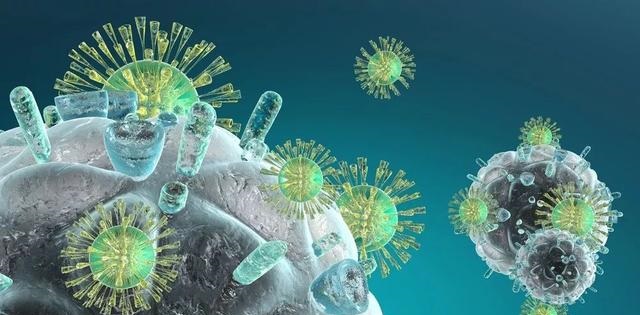 ����÷��MGM(�й���)��������