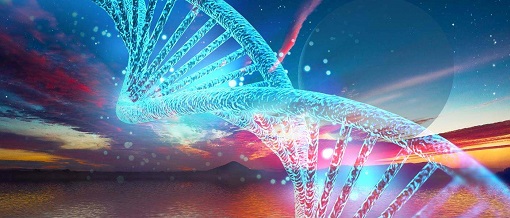 ����÷��MGM(�й���)��������