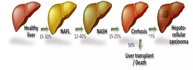 �ΰ��γ�����