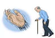 ����ɭ������������������������������������������