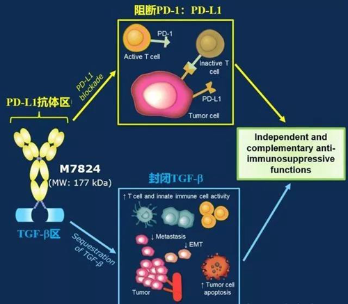  M7824���û���