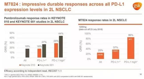 M7824�Ķ�����Ч����