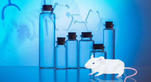 ����÷-�������DMPK�о�ͬ��